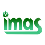 Imas